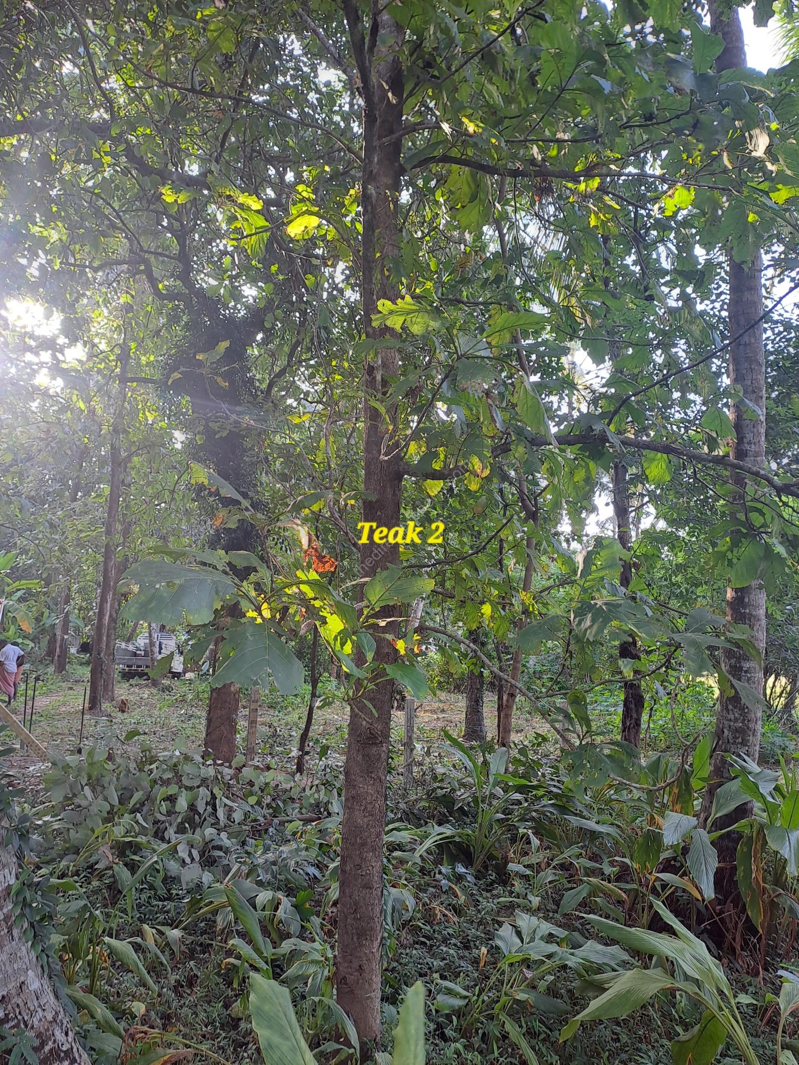 622b6af3-ca91-4c07-8bc9-c715b7c65316-1_all_30231