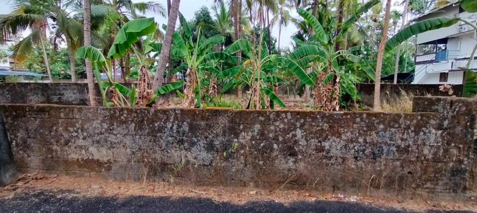 Kalathode Resi. land 10cent 12L5