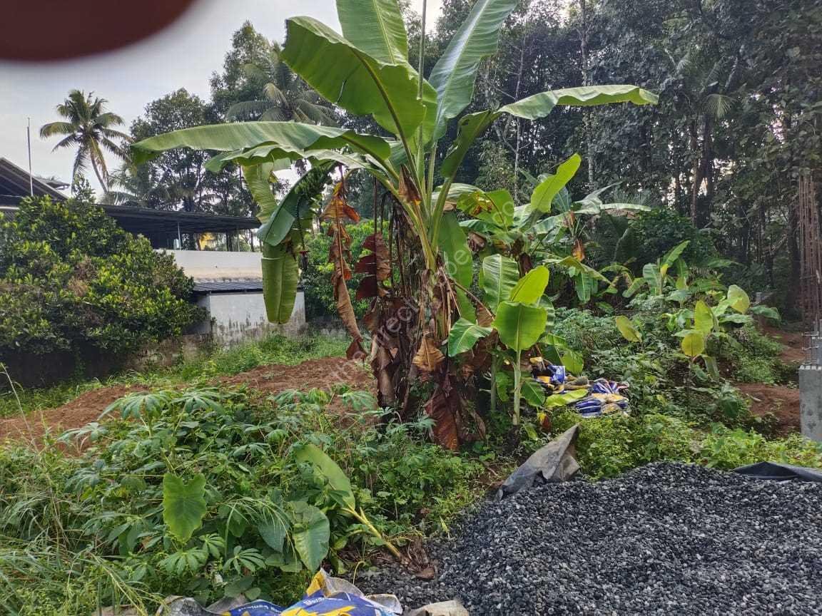 WhatsApp Image 2024-05-26 at 12.02.28