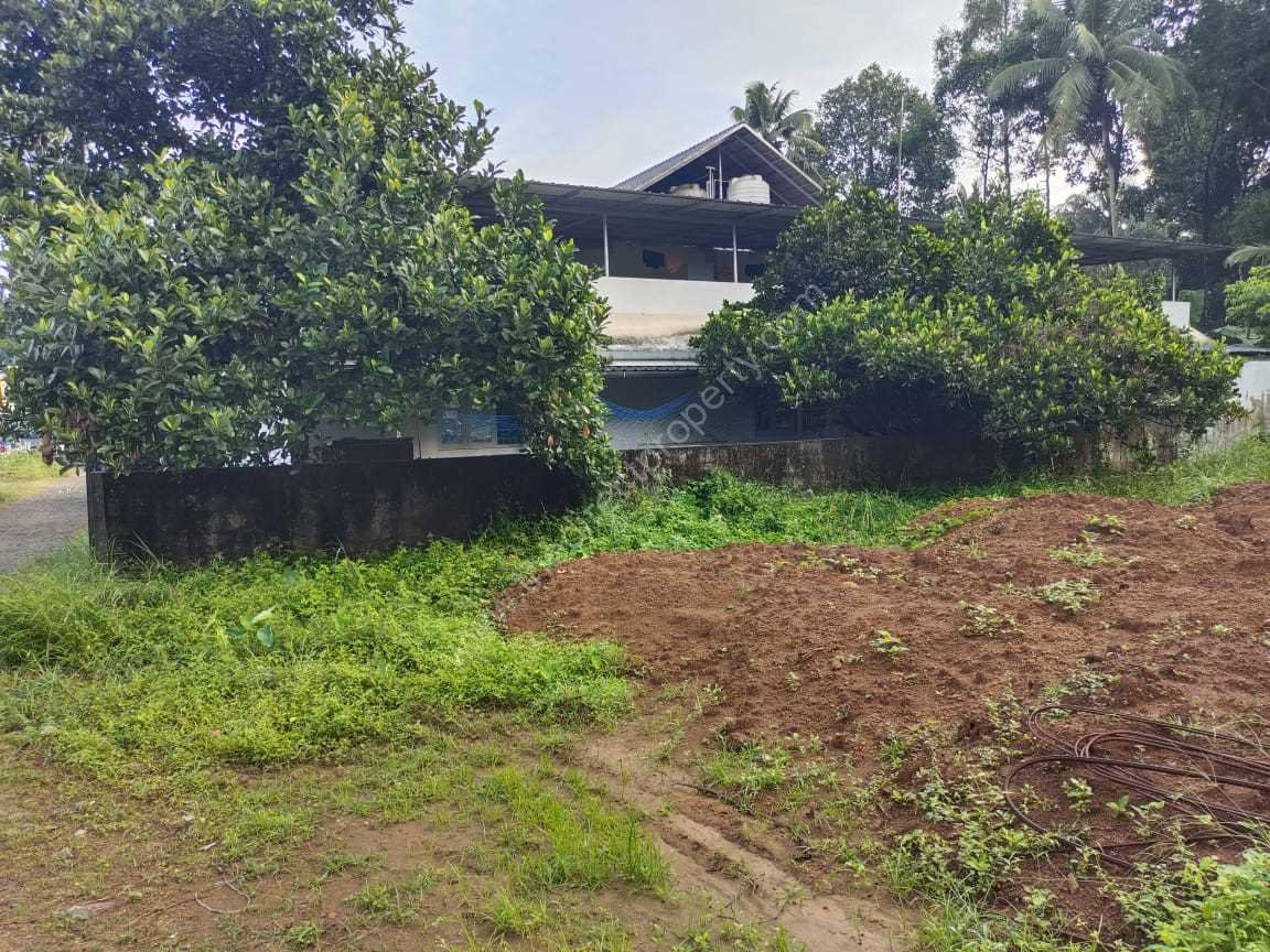 WhatsApp Image 2024-05-26 at 12.02.29