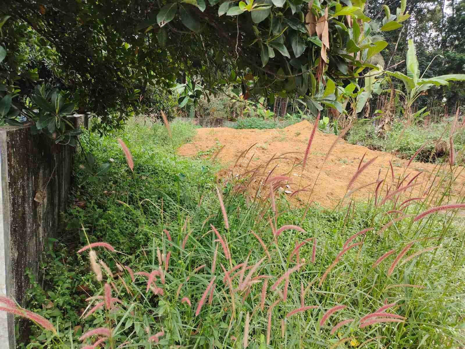 WhatsApp Image 2024-05-26 at 12.02.30