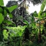 Plot for Sale in Palarivattom