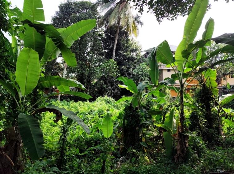 Plot for Sale in Palarivattom