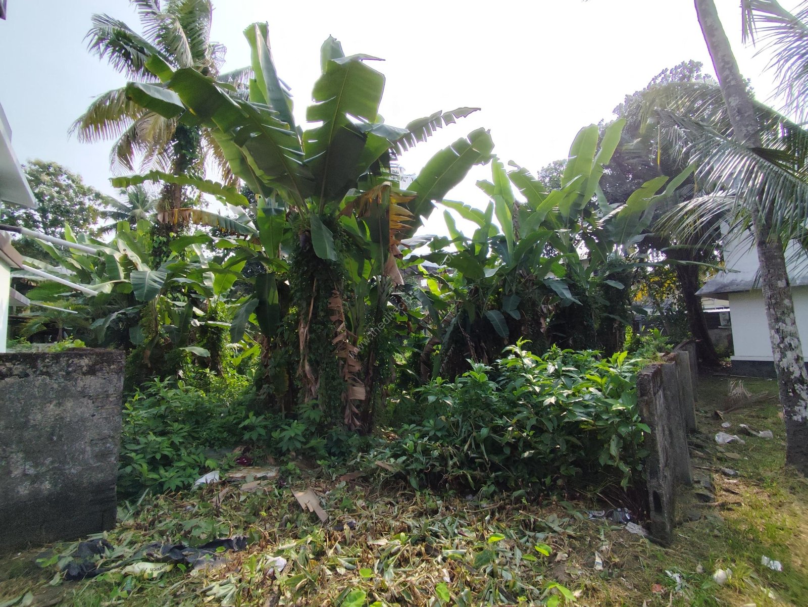 WhatsApp Image 2024-12-10 at 4.20.28 PM (1)