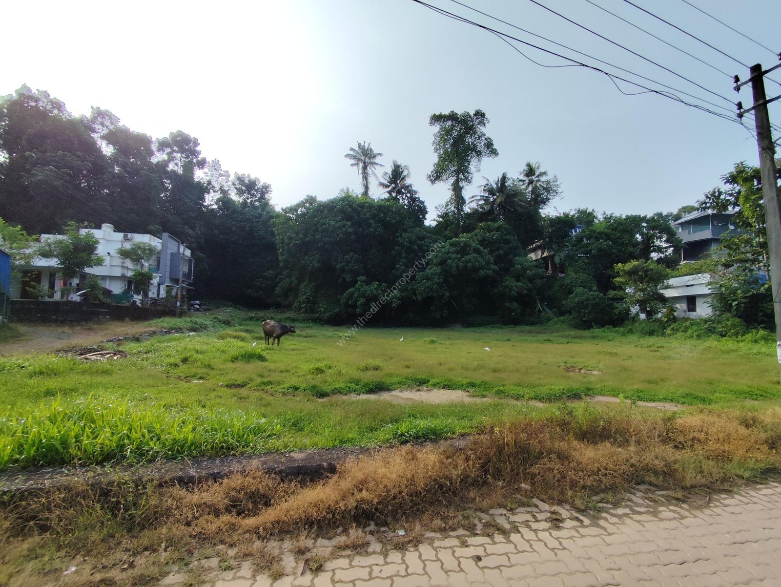 WhatsApp Image 2024-12-10 at 4.20.28 PM (2)