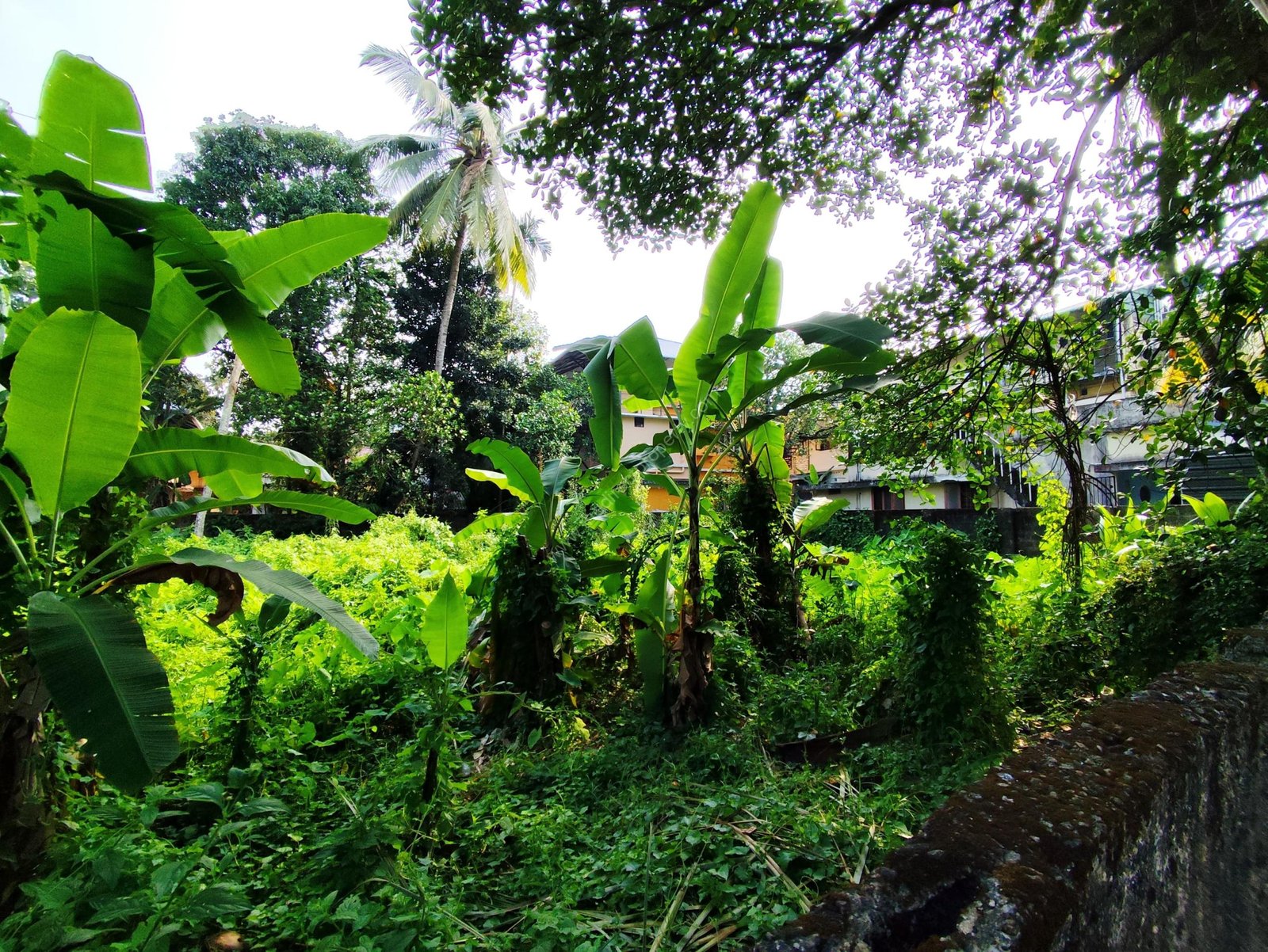 WhatsApp Image 2024-12-10 at 4.20.28 PM