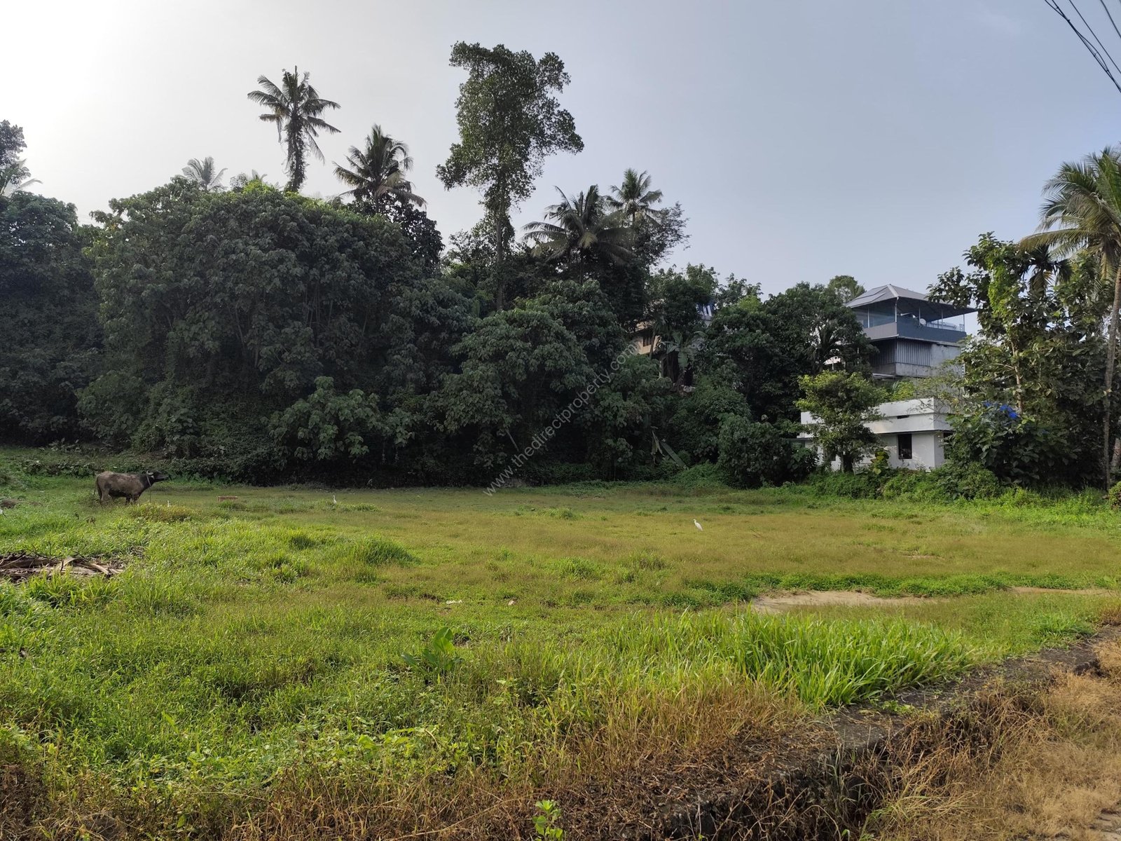 WhatsApp Image 2024-12-10 at 4.20.29 PM (1)