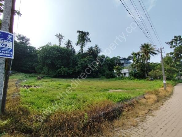 35Cent Plot for Sale in Pallikara