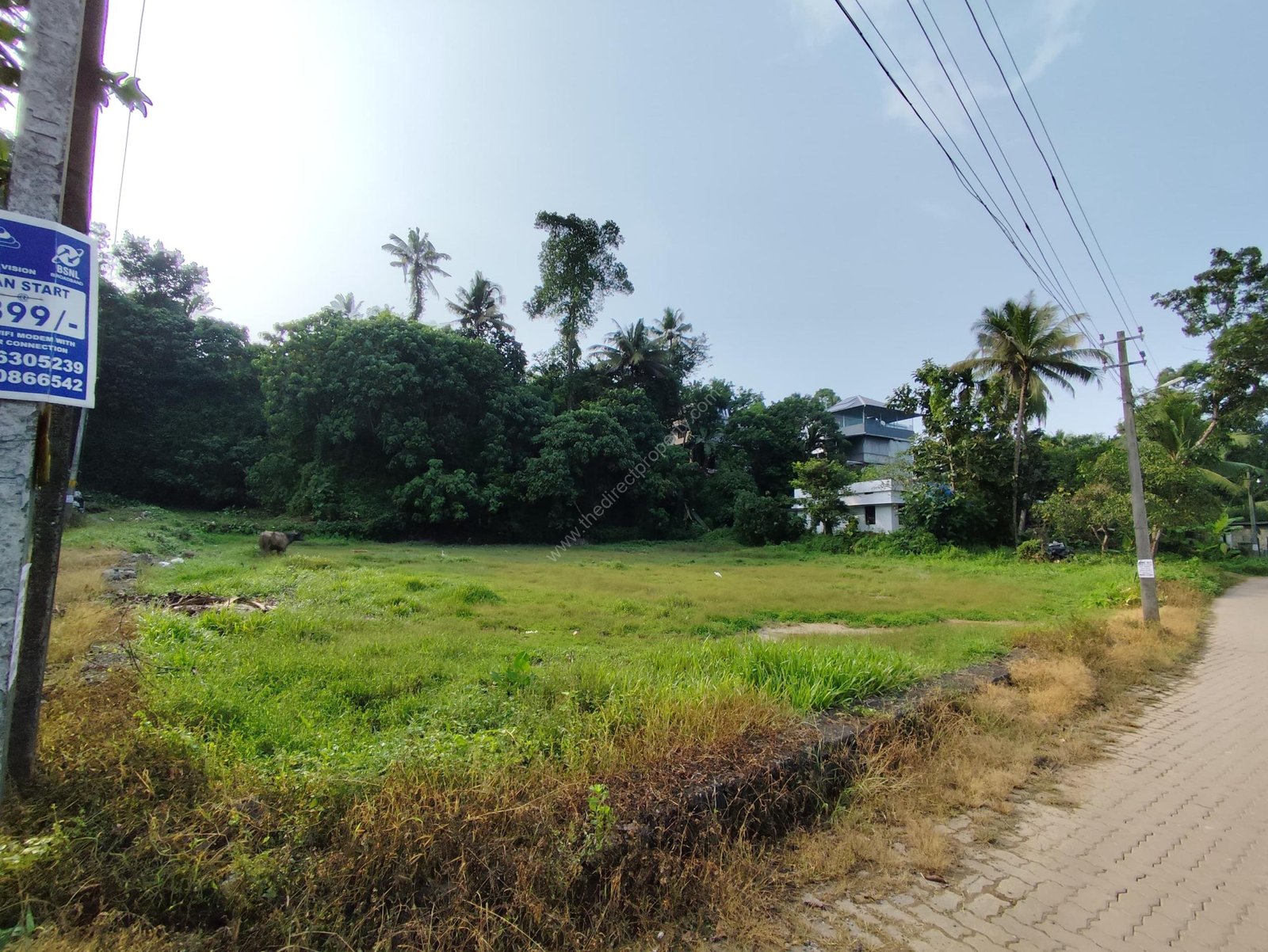WhatsApp Image 2024-12-10 at 4.20.29 PM 35Cent Plot for Sale in Pallikara
