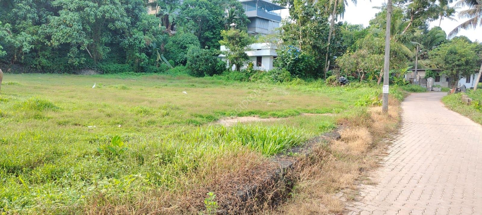 WhatsApp Image 2024-12-10 at 5.00.16 PM