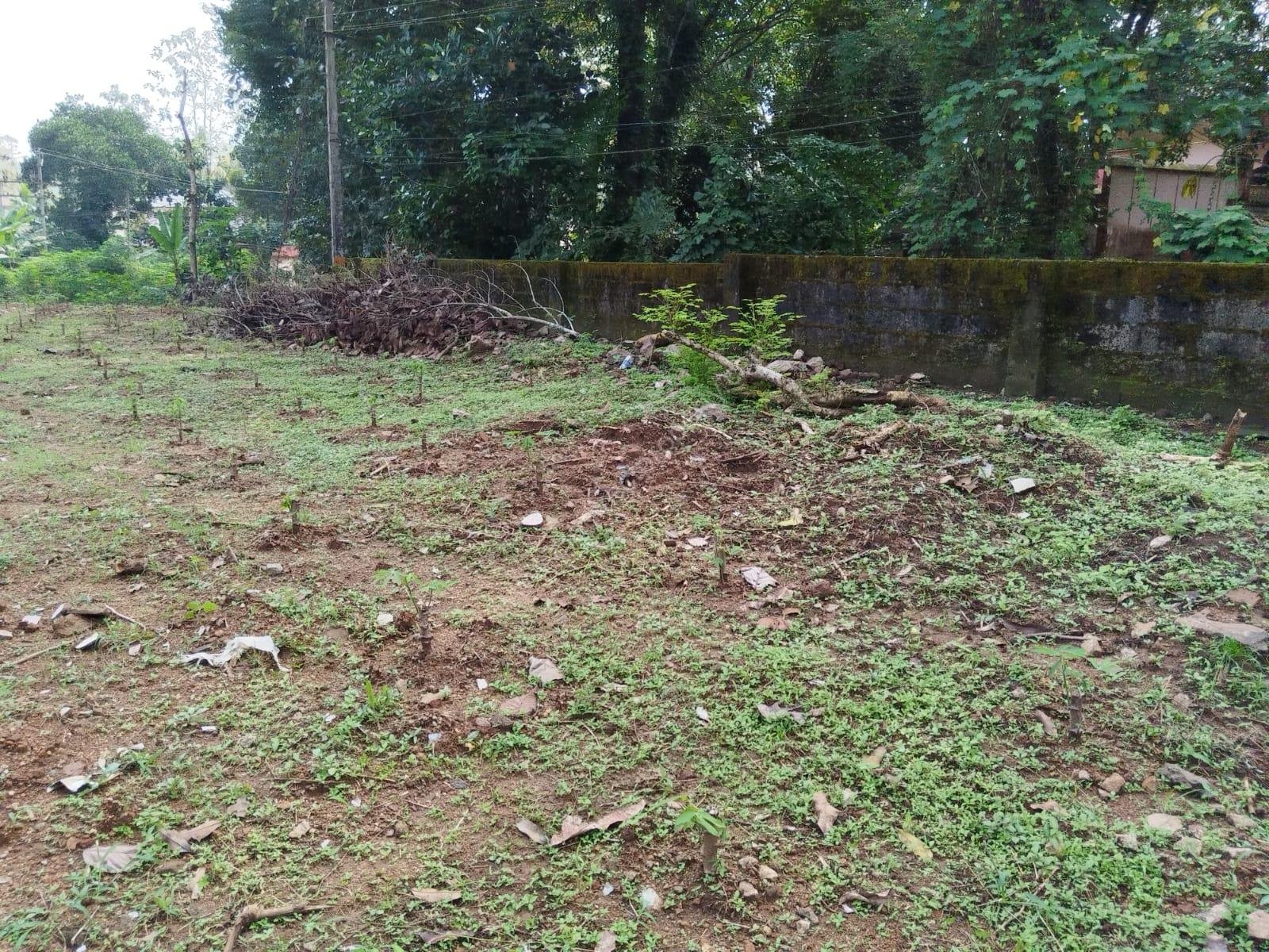 WhatsApp Image 2024-12-13 at 1.36.49 PM (1)