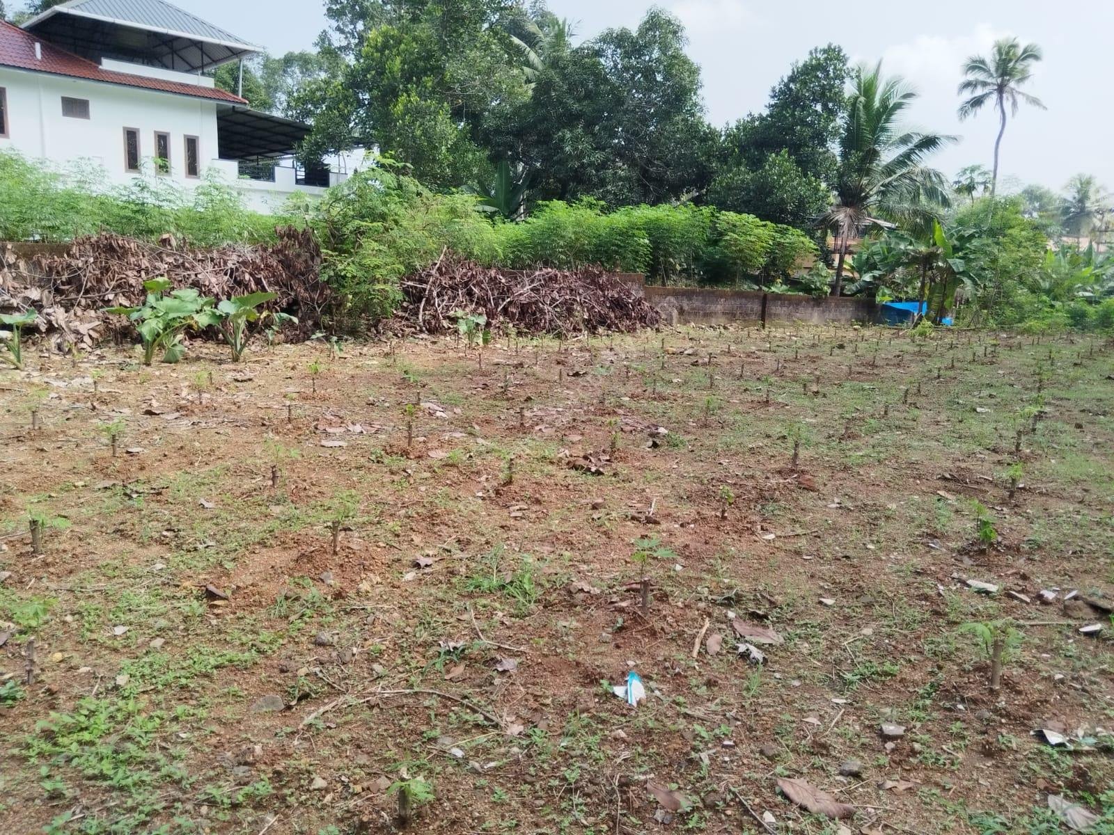 WhatsApp Image 2024-12-13 at 1.36.49 PM