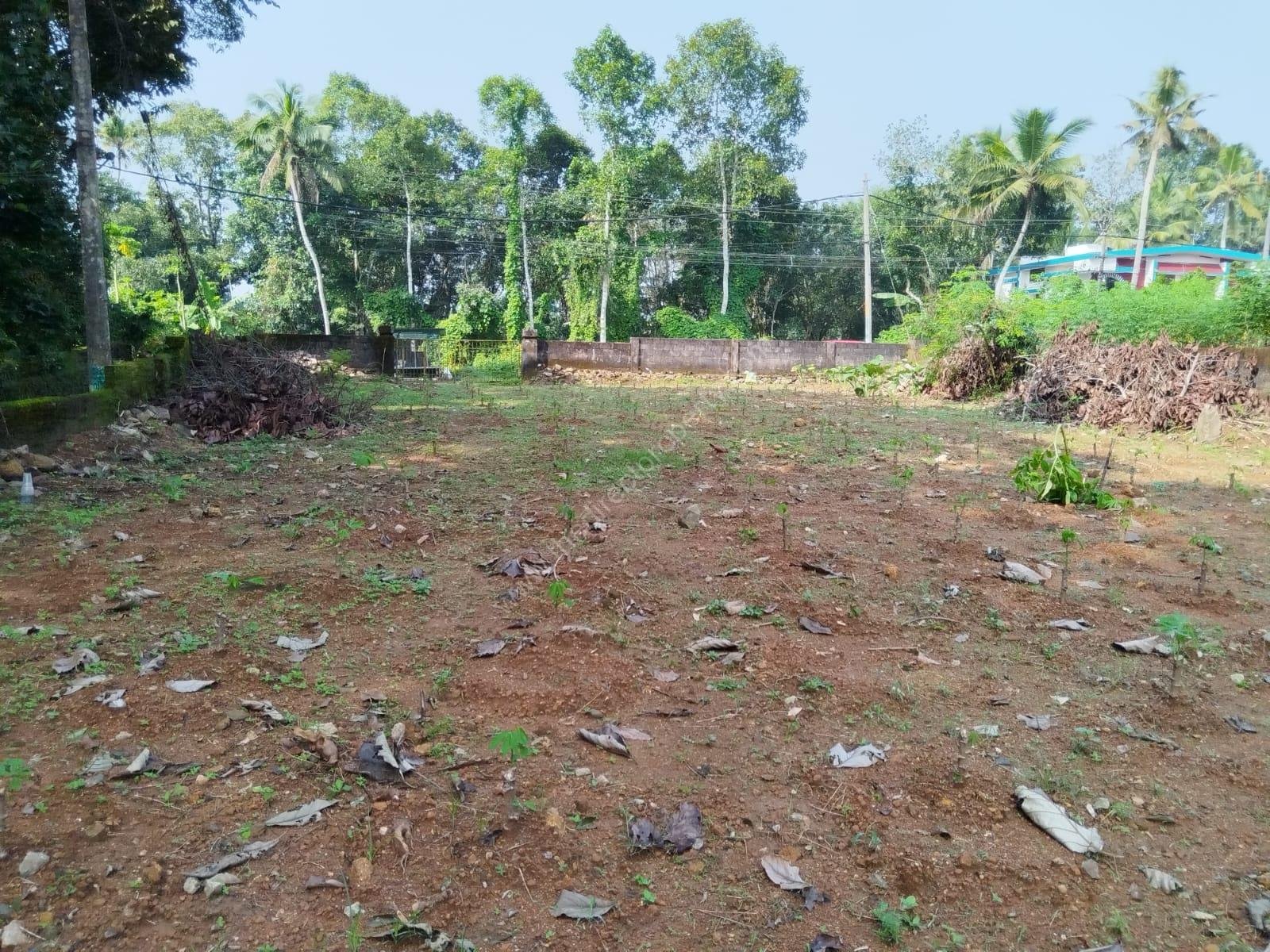 WhatsApp Image 2024-12-13 at 1.36.50 PM (1)