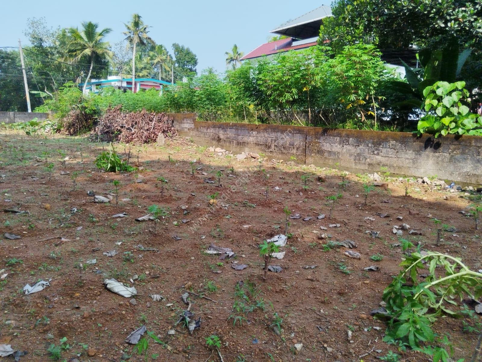 WhatsApp Image 2024-12-13 at 1.36.50 PM