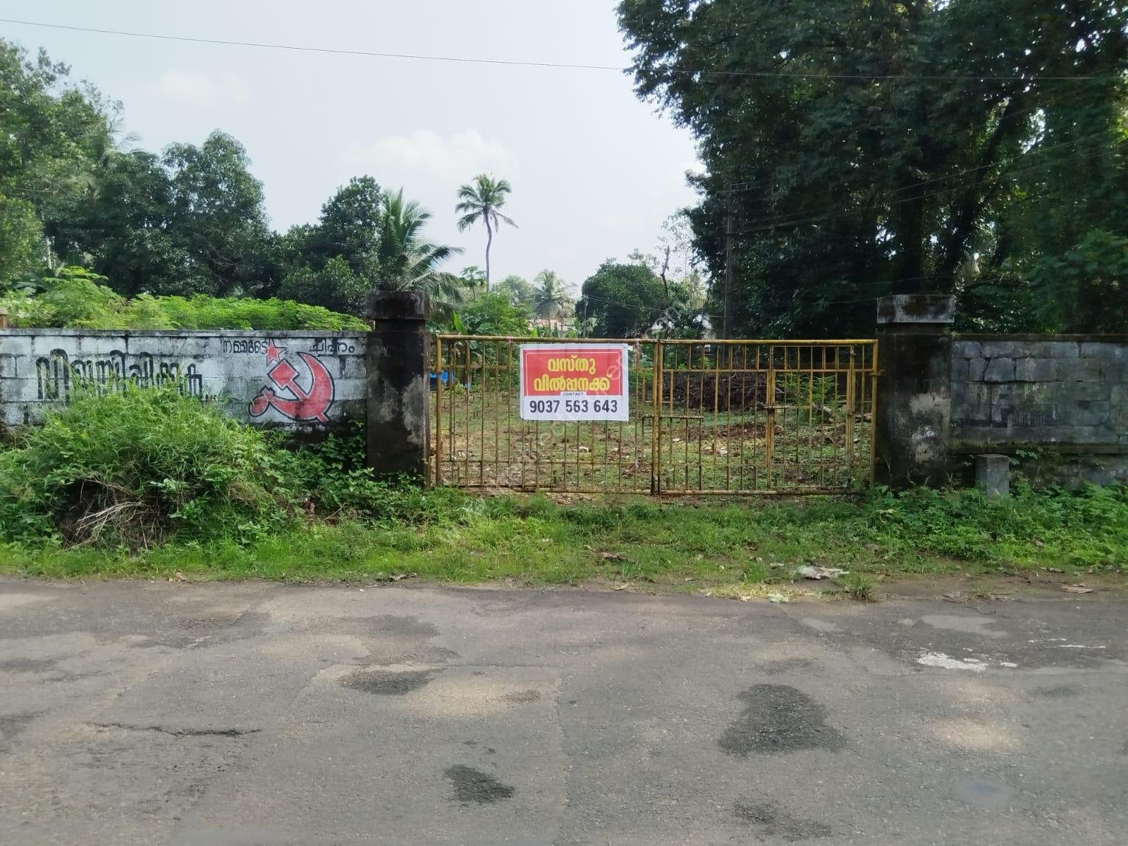 WhatsApp Image 2024-12-13 at 1.36.51 PM (1)