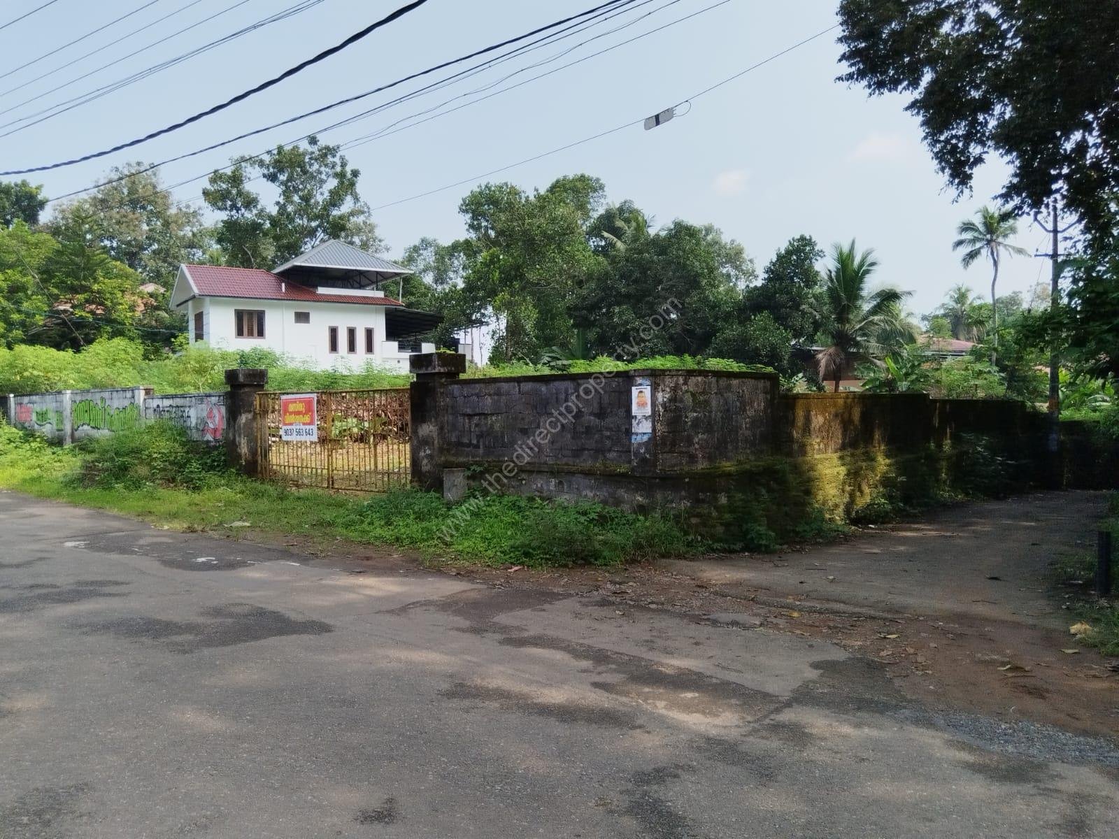 WhatsApp Image 2024-12-13 at 1.36.51 PM