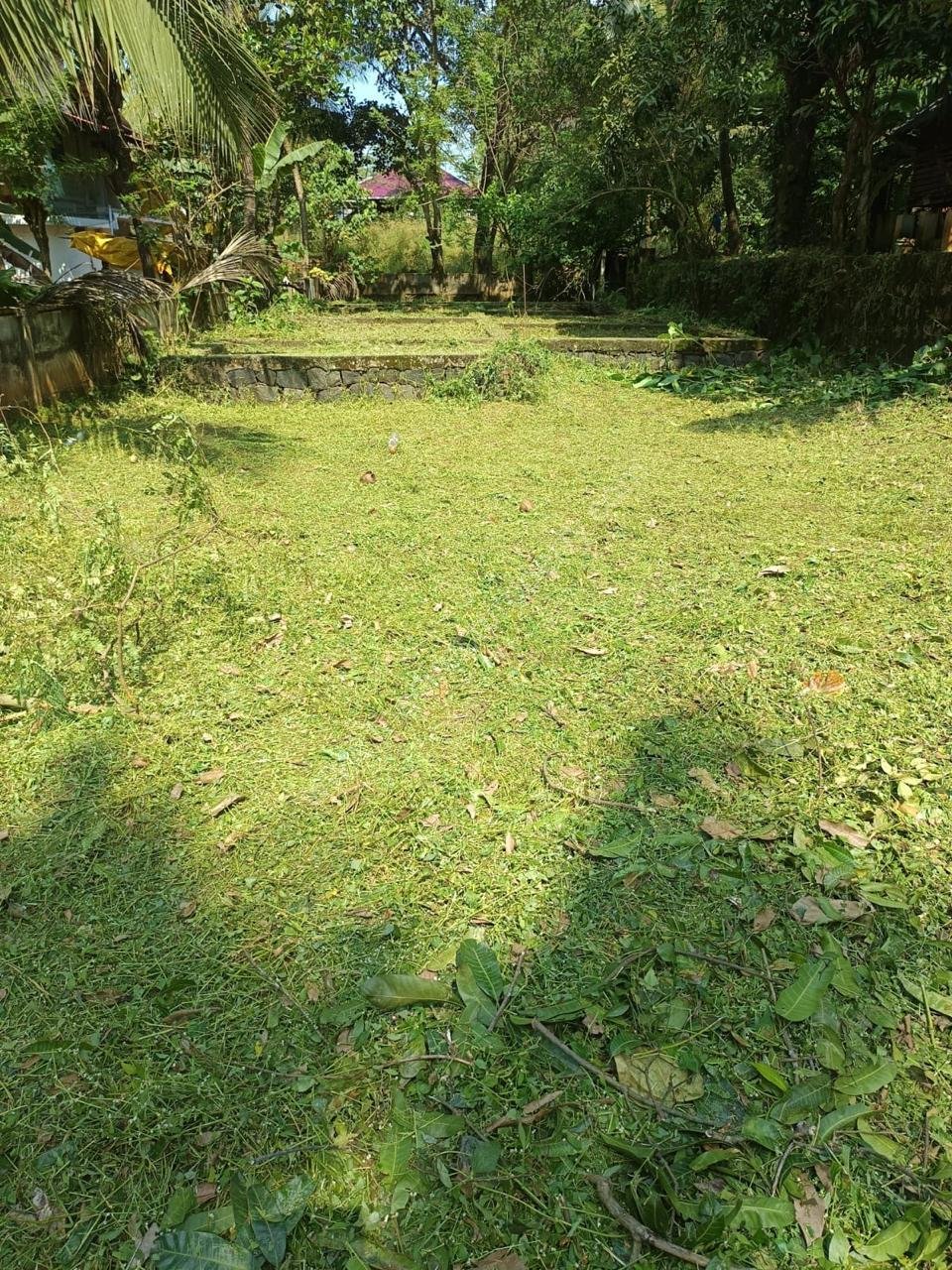 WhatsApp Image 2024-12-31 at 2.27.23 PM (1)