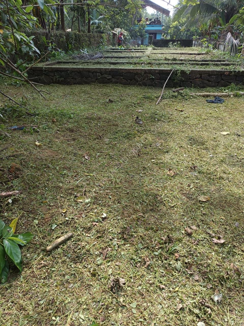 WhatsApp Image 2024-12-31 at 2.27.23 PM (2)