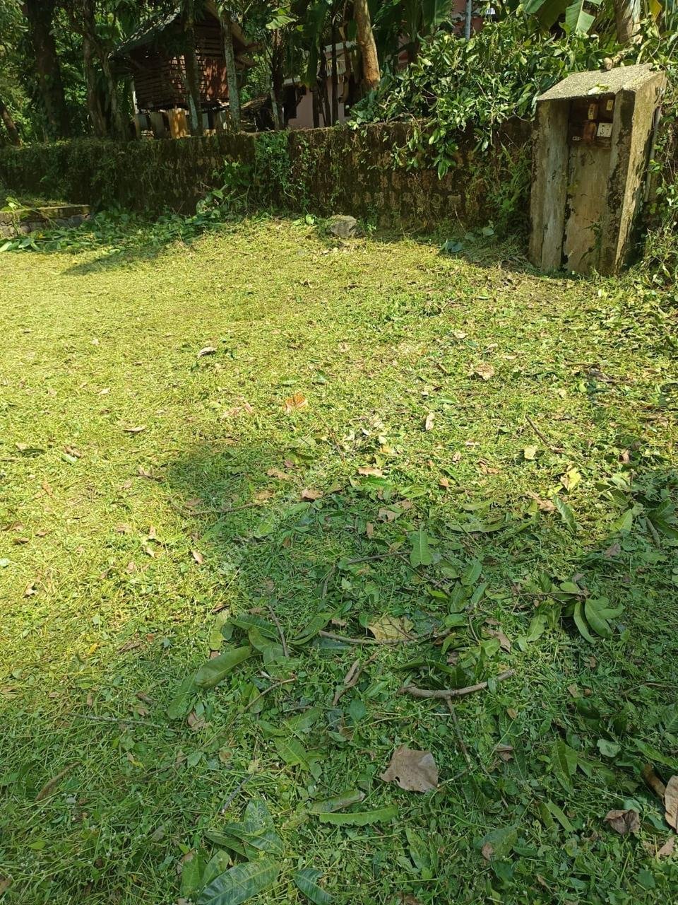 WhatsApp Image 2024-12-31 at 2.27.23 PM