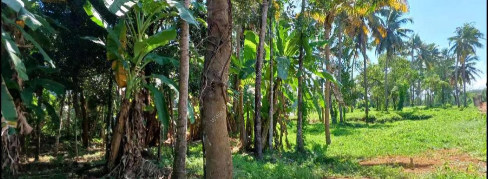 Screenshot_20240909_185611_WhatsApp