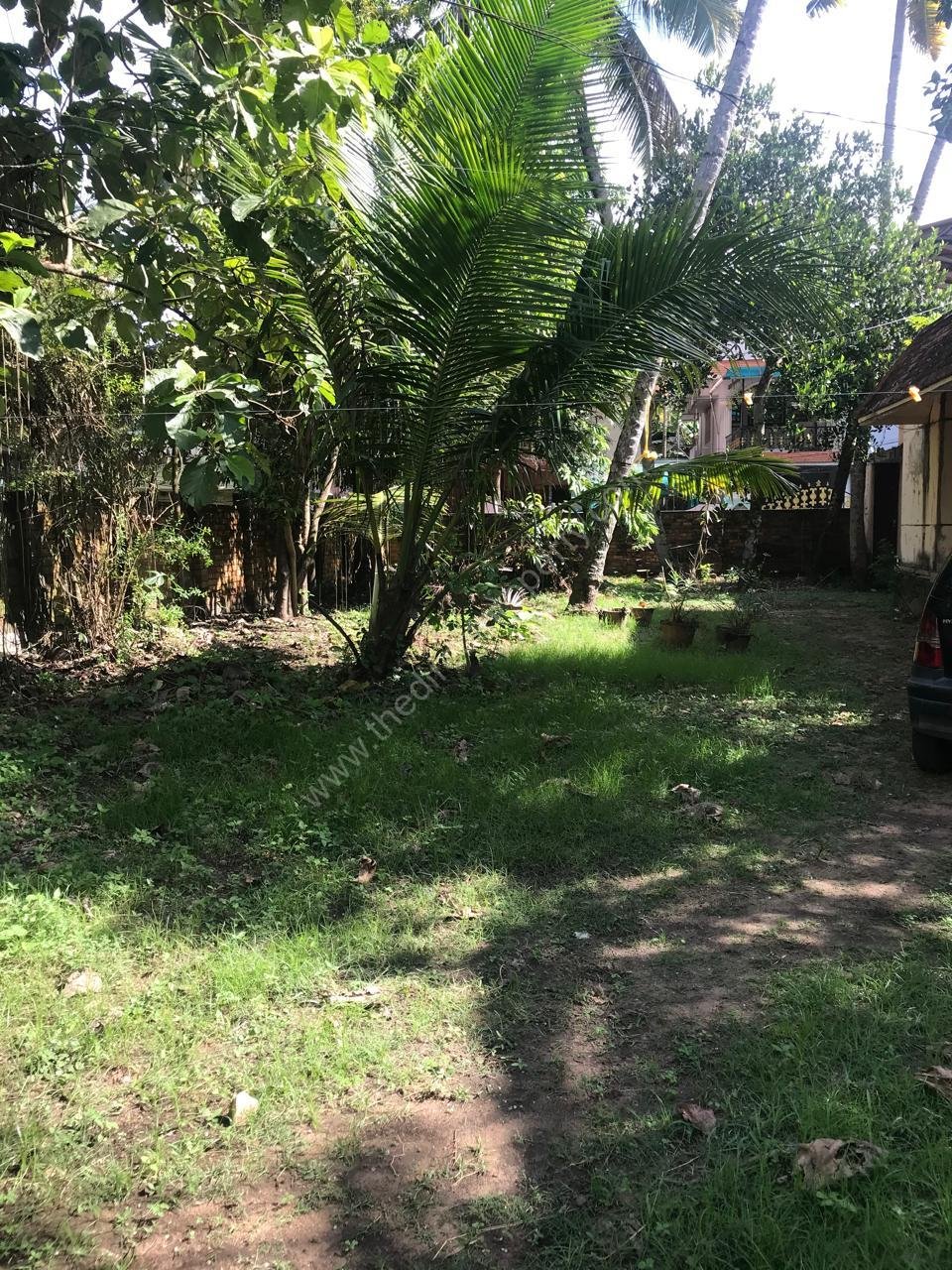 Tangasseri Plot 2024 Advertisement