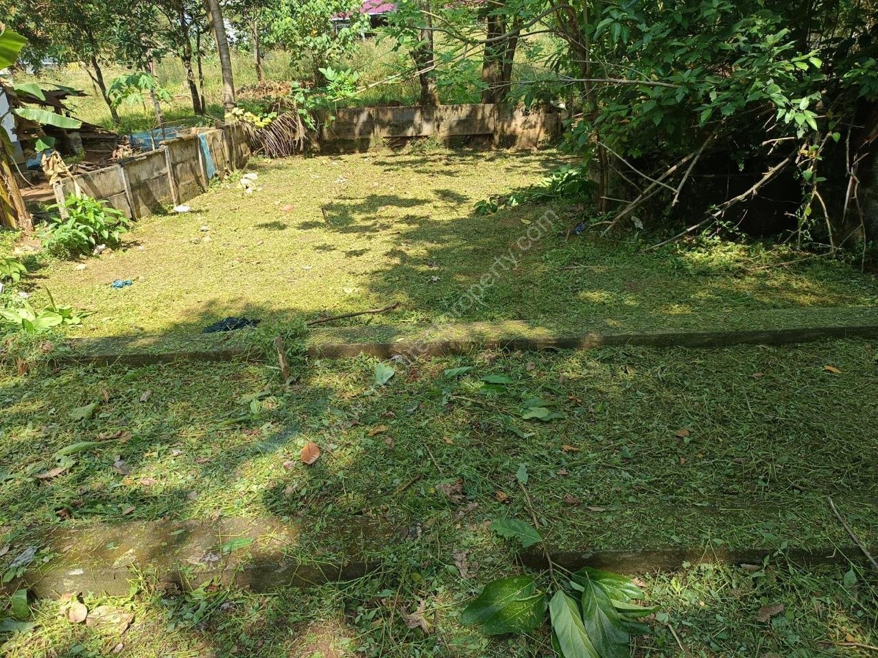 WhatsApp Image 2024-12-31 at 2.27.23 PM (3)