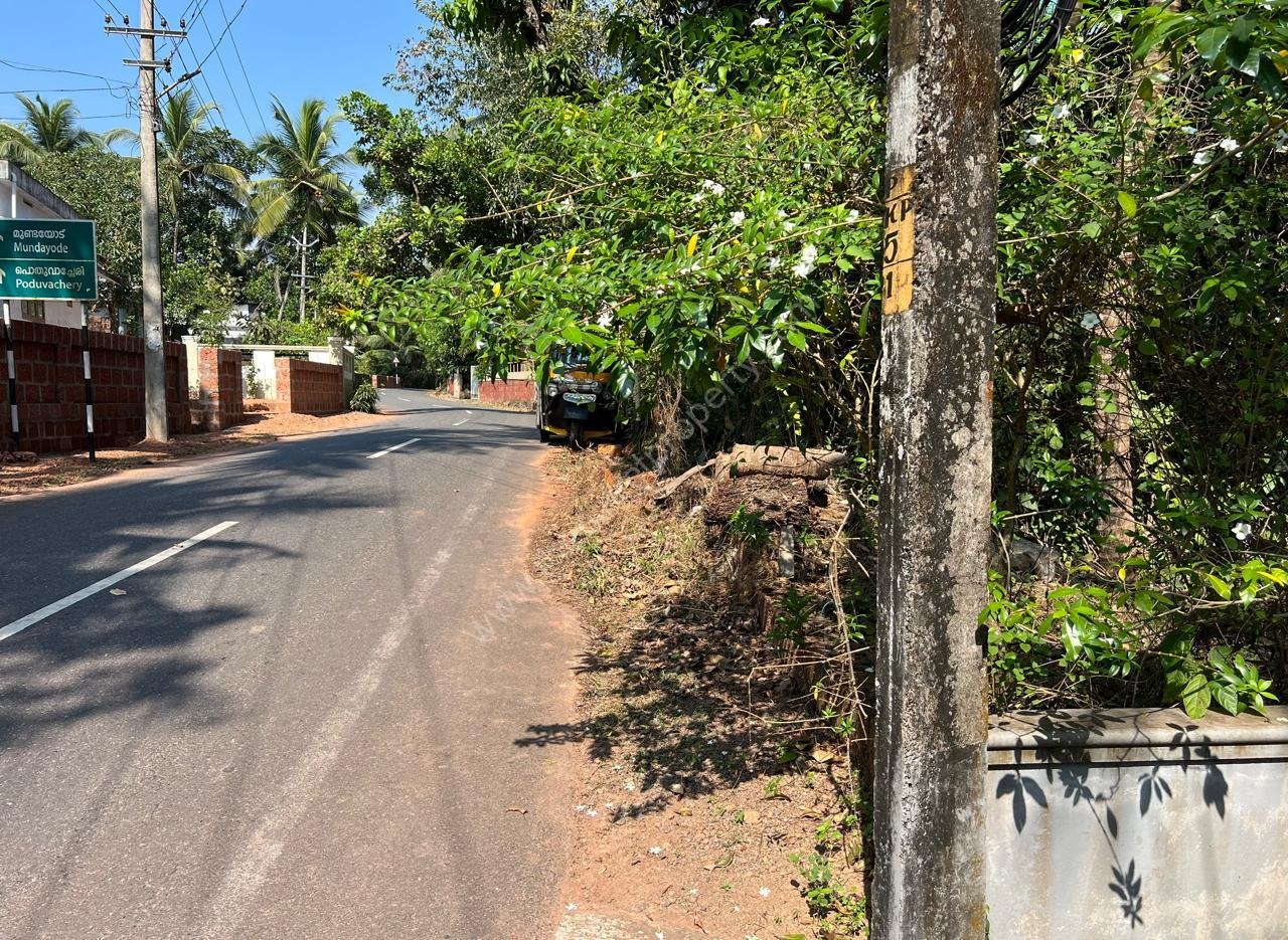 WhatsApp Image 2025-01-06 at 7.33.19 PM