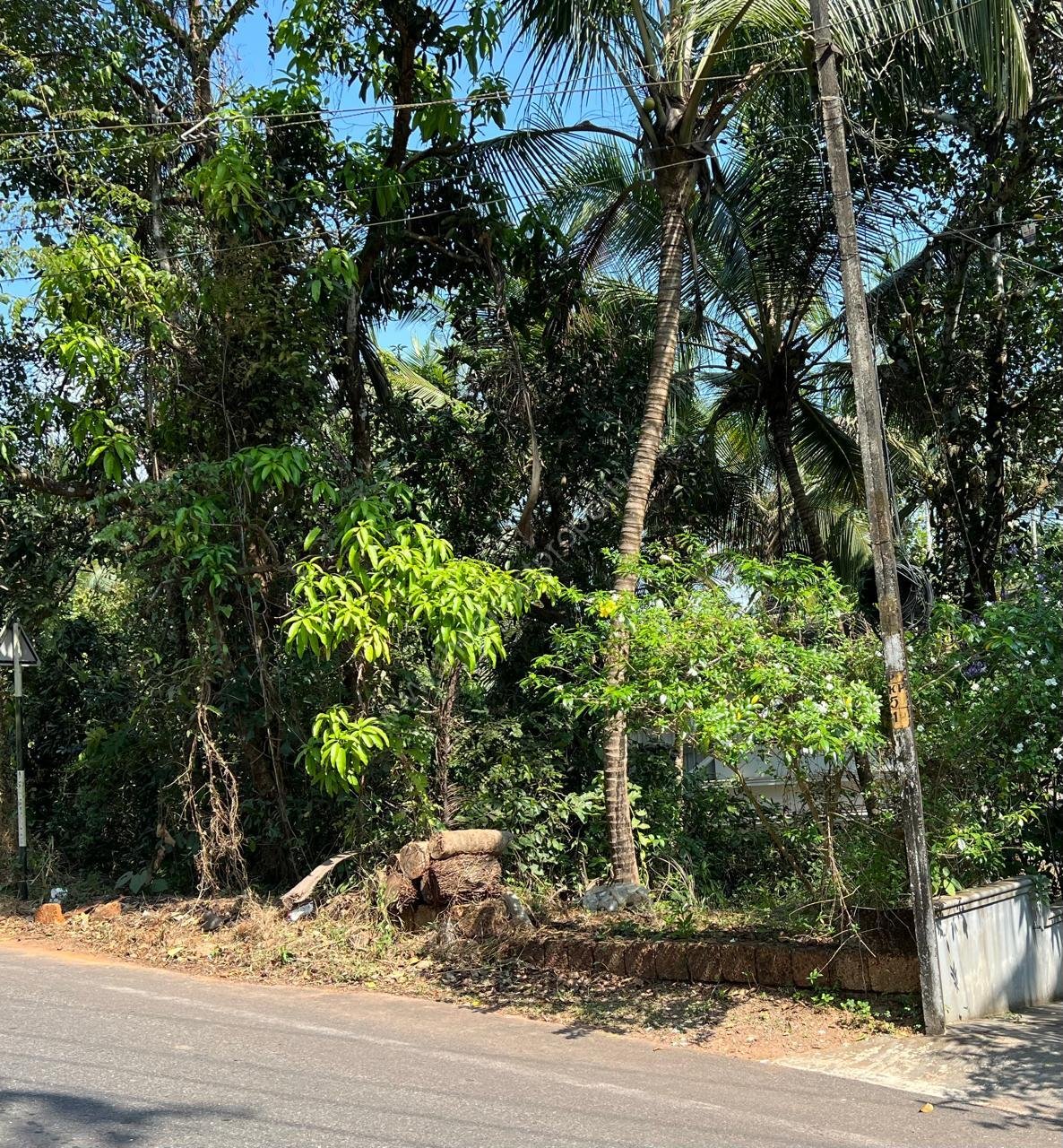 WhatsApp Image 2025-01-06 at 7.33.25 PM