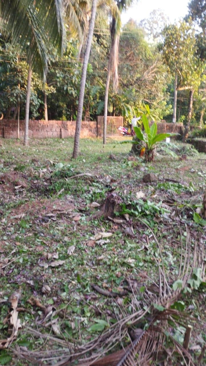 019d4299-cb9f-42cb-9e1d-7f91a2d6ff67