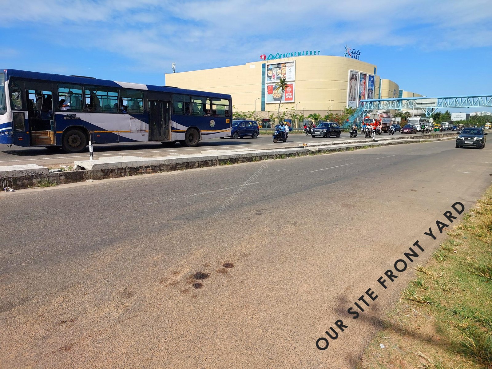 11 and a Half Cent Front Yard