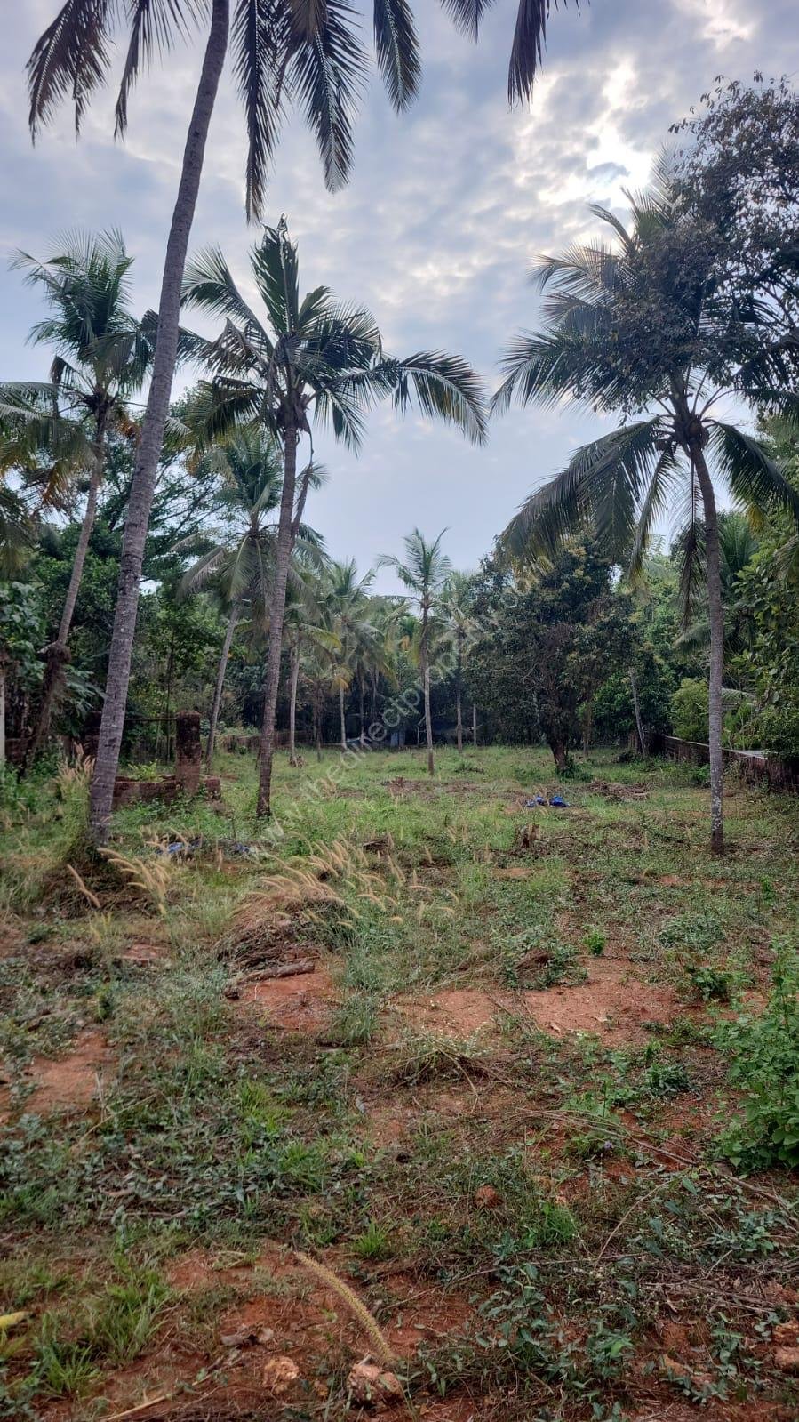 8e3c4bbf-544e-4cc1-b69a-c66cc3ccc2d1