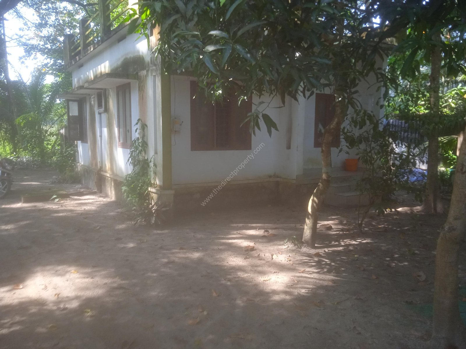 IMG_20241215_133034_1