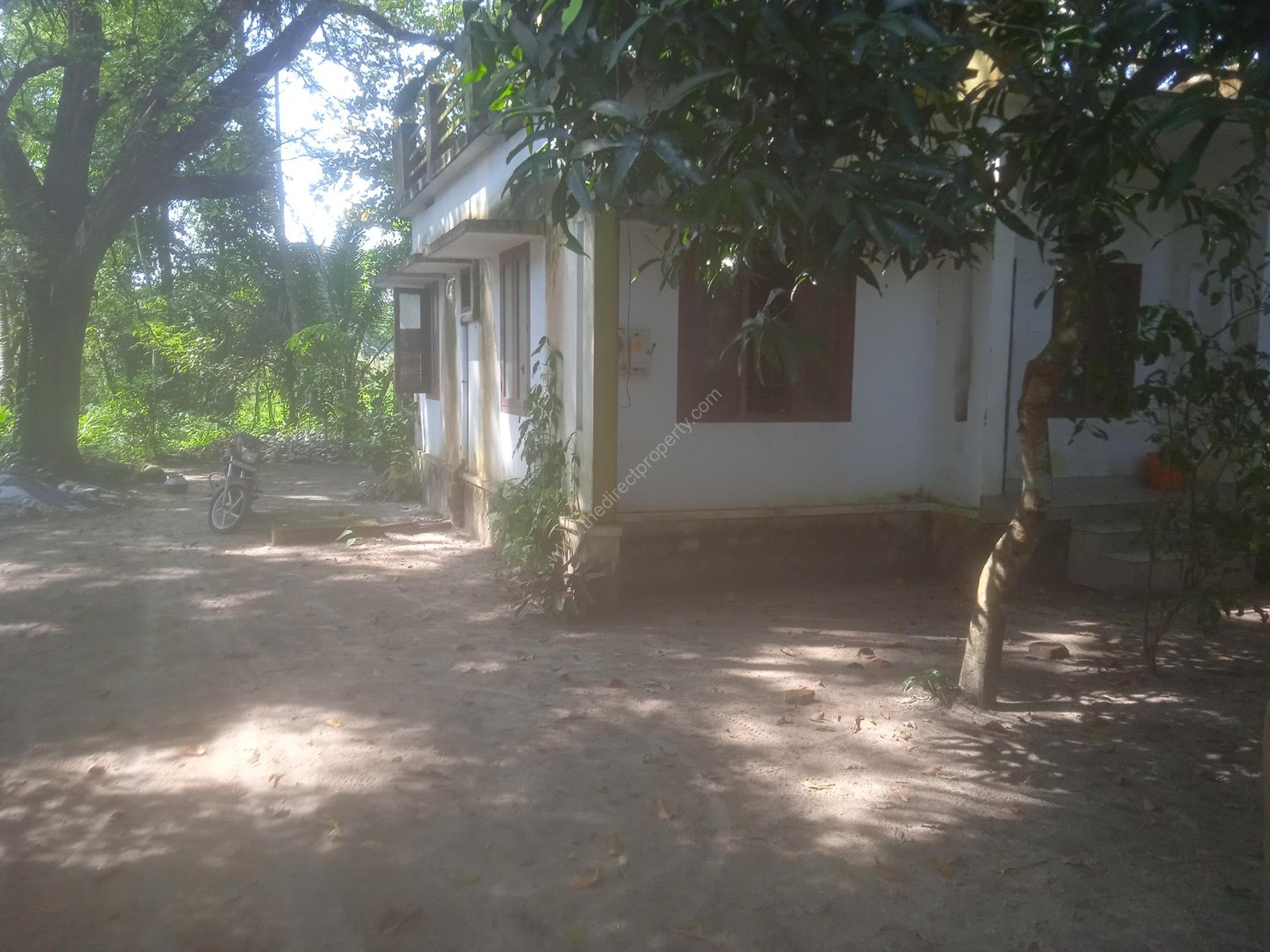 IMG_20241215_133057_1