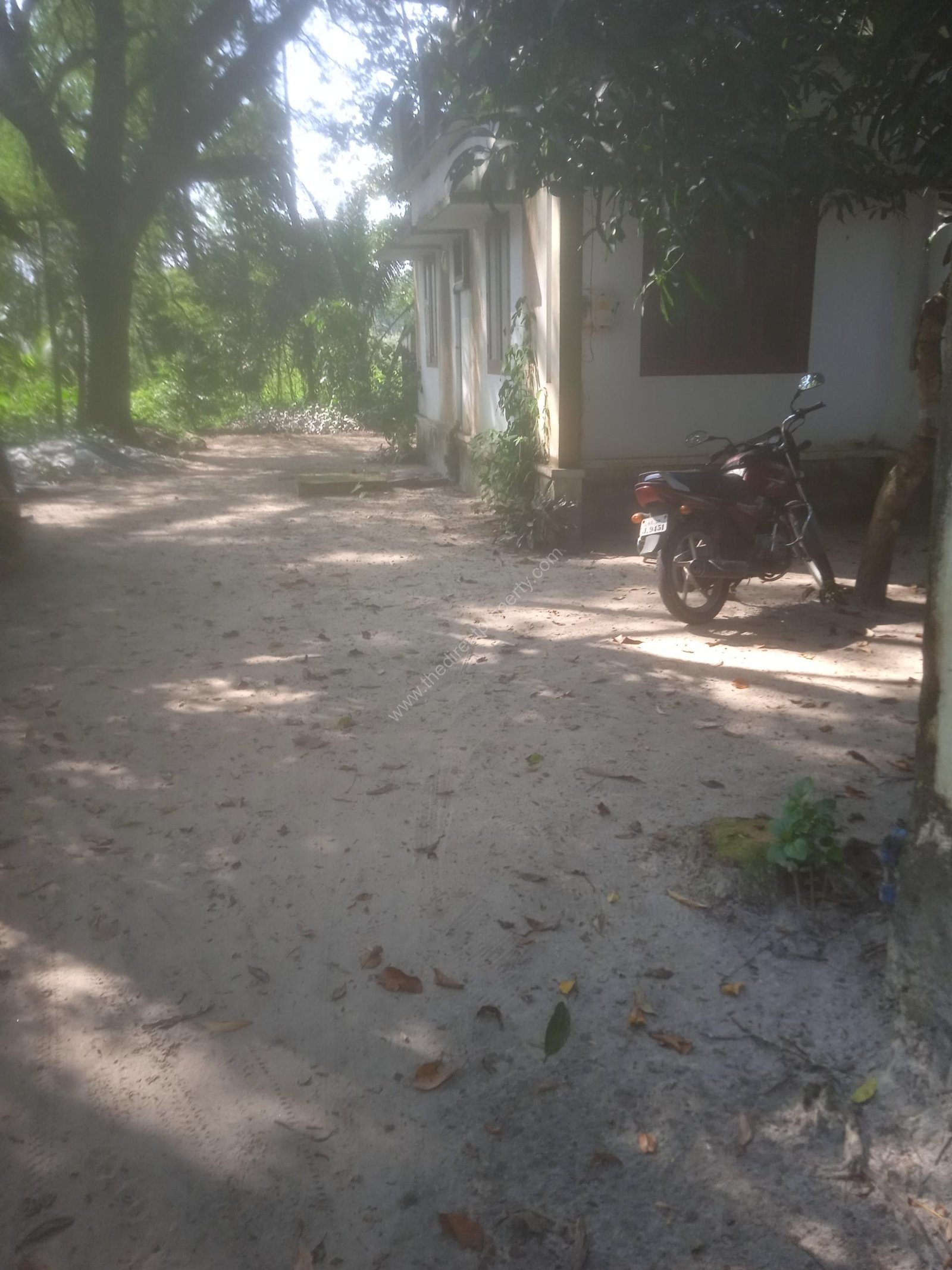 IMG_20241220_143902_1