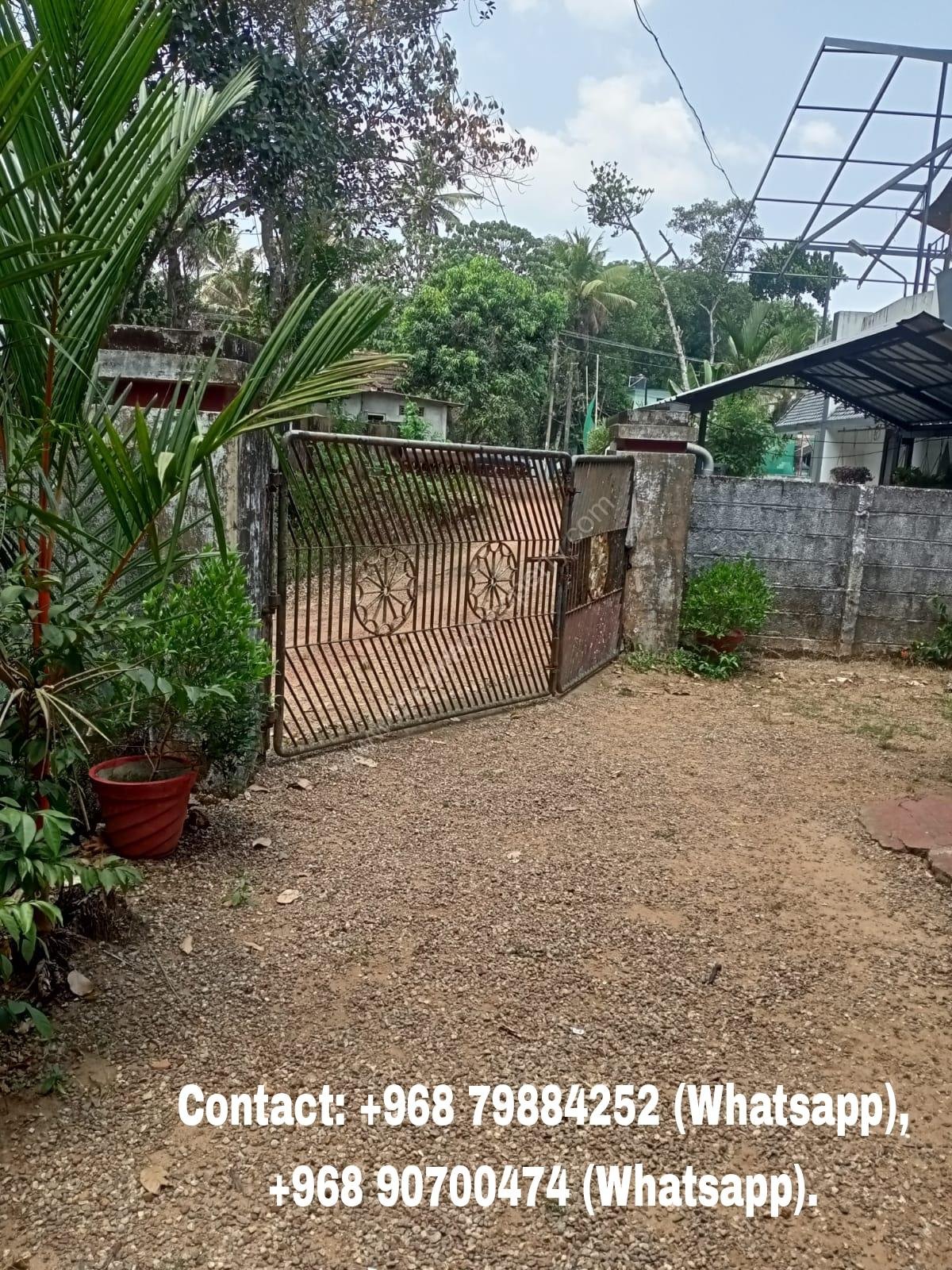 Picsart_24-06-20_00-12-53-417