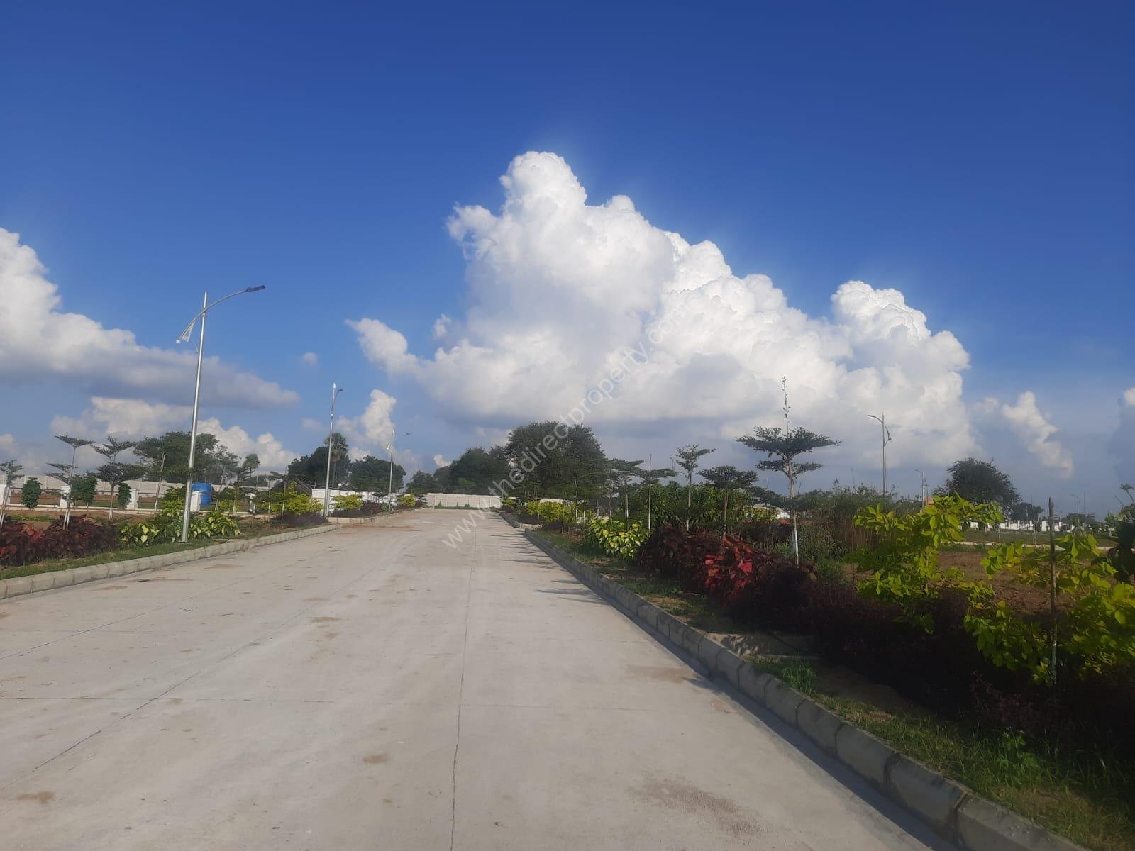 WhatsApp Image 2024-10-21 at 10.03.06 AM (3)