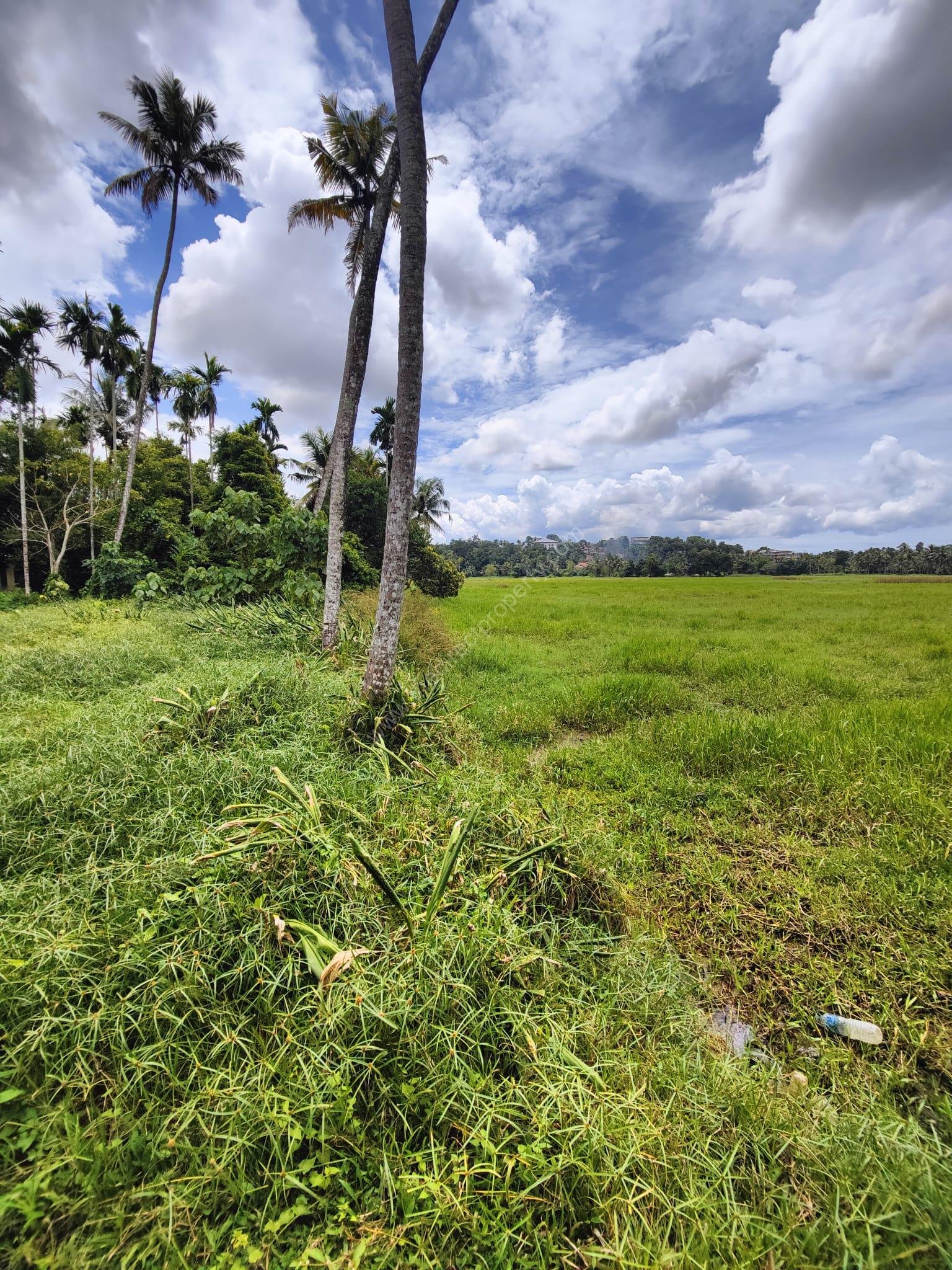 WhatsApp Image 2024-10-23 at 1.41.23 AM (1)