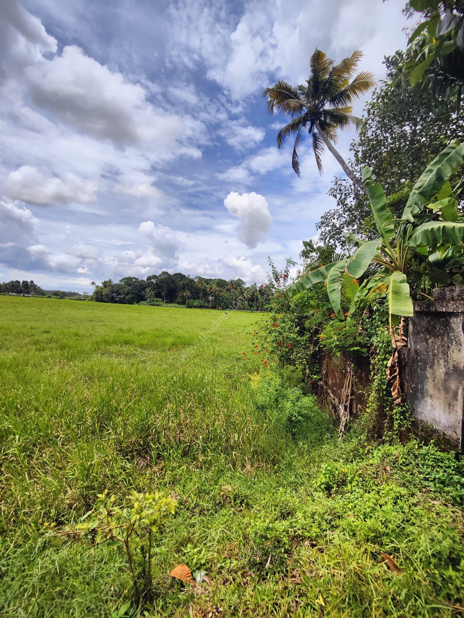 WhatsApp Image 2024-10-23 at 1.41.23 AM (2)