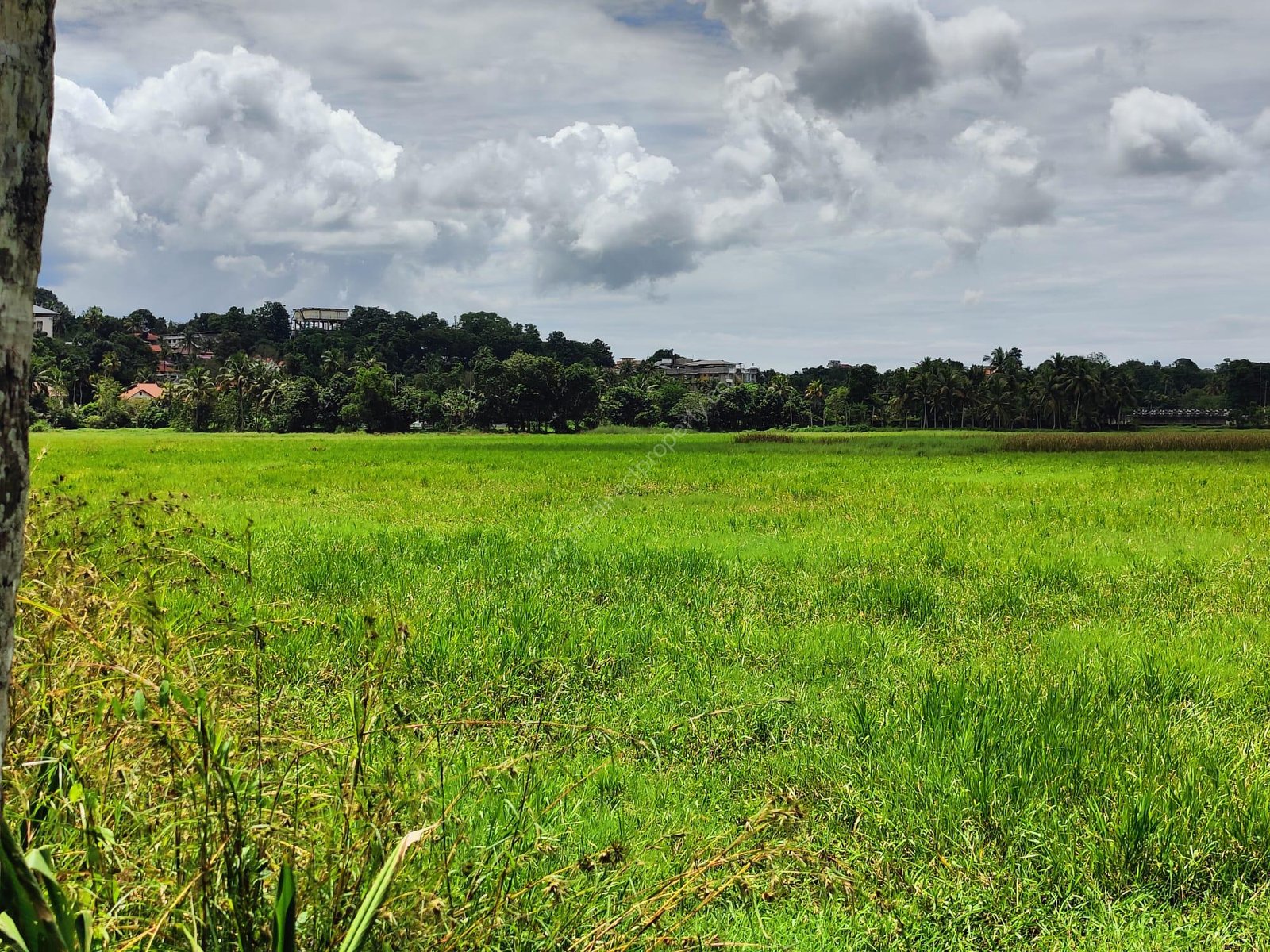 WhatsApp Image 2024-10-23 at 1.41.23 AM (3)