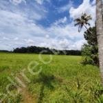 Agriculture land for sale in Kochi