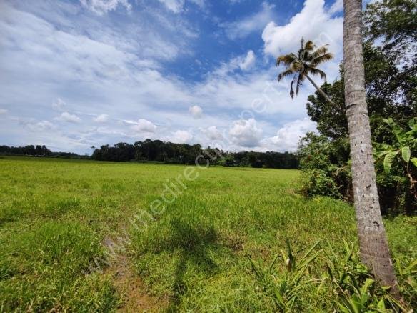 Agriculture land for sale in Kochi