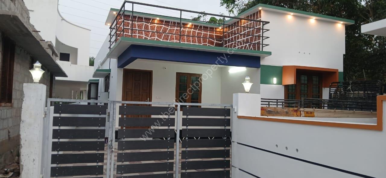 WhatsApp Image 2025-02-05 at 18.31.50_485eb11f