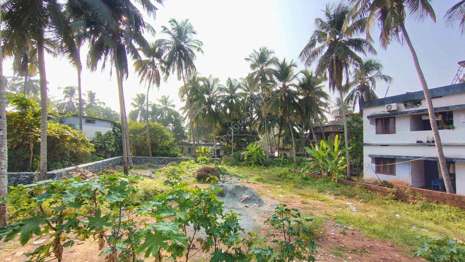 WhatsApp Image 2025-02-10 at 4.32.14 PM (1)