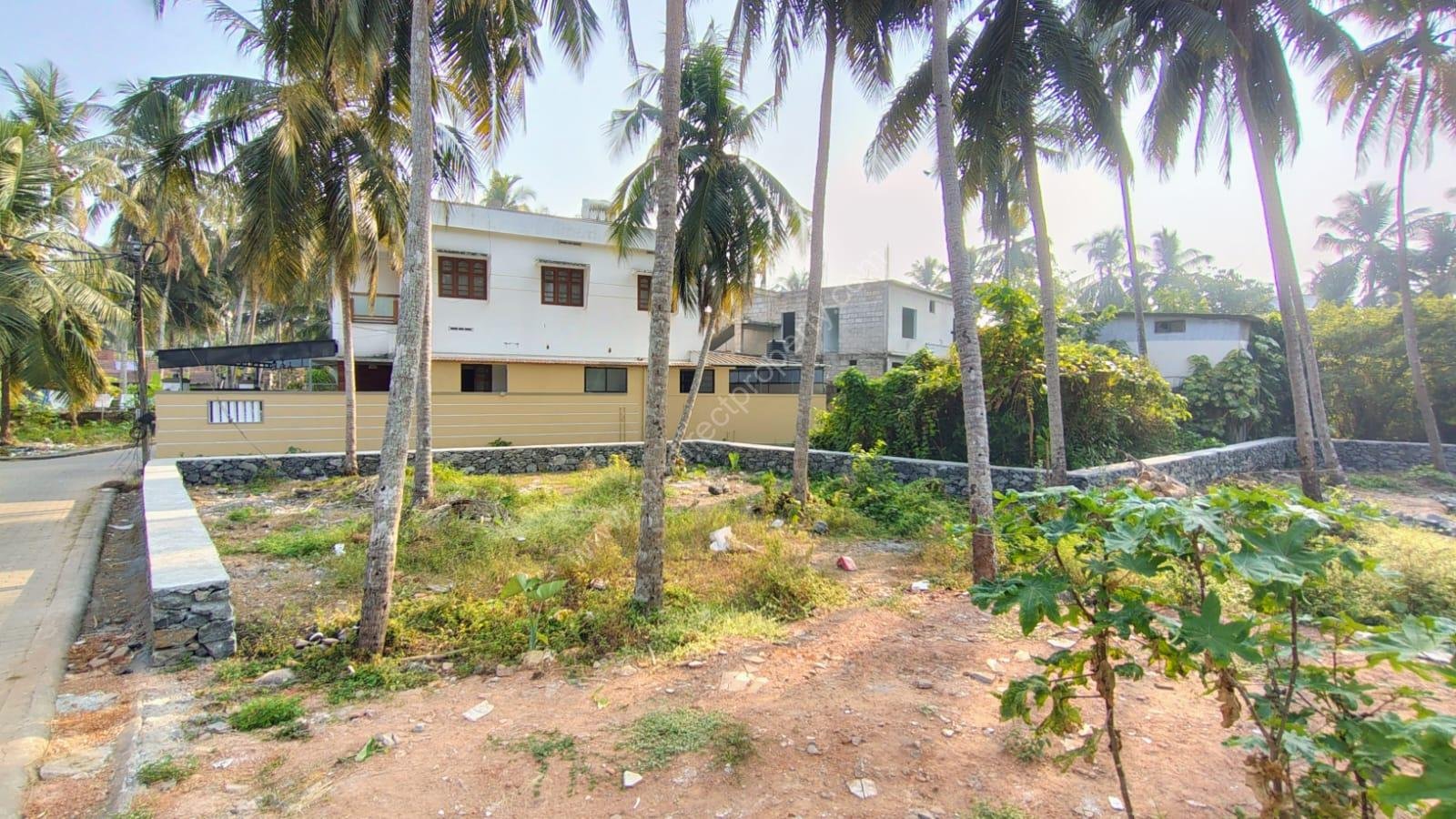 WhatsApp Image 2025-02-10 at 4.32.14 PM