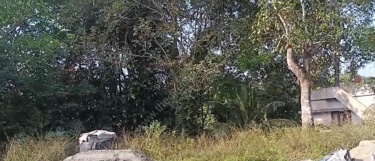 WhatsApp Image 2025-02-12 at 15.25.32