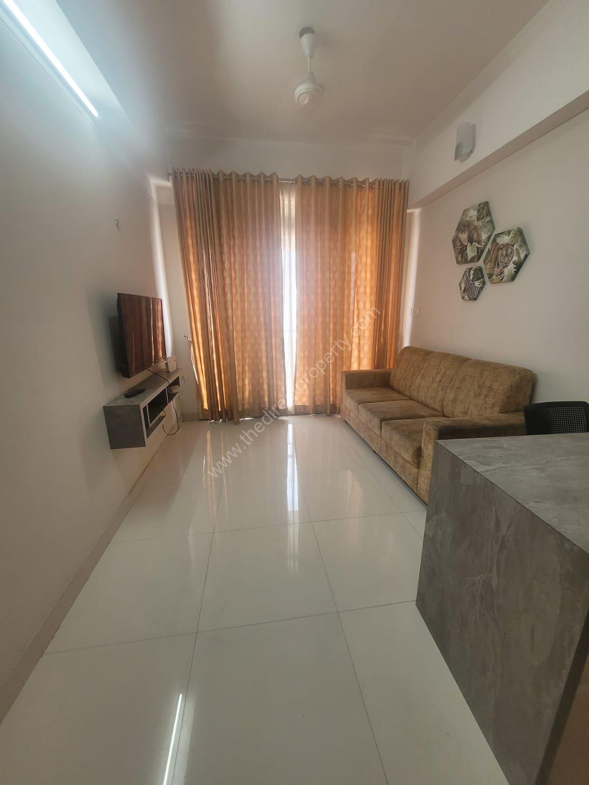 WhatsApp Image 2025-02-20 at 3.55.15 PM (3)