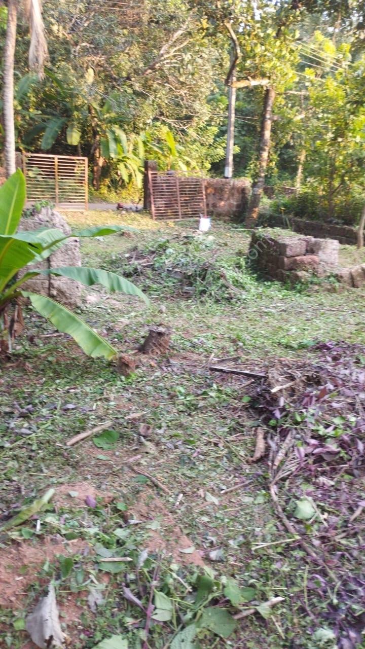 d6e1abac-8518-4920-b309-3443e3f38365