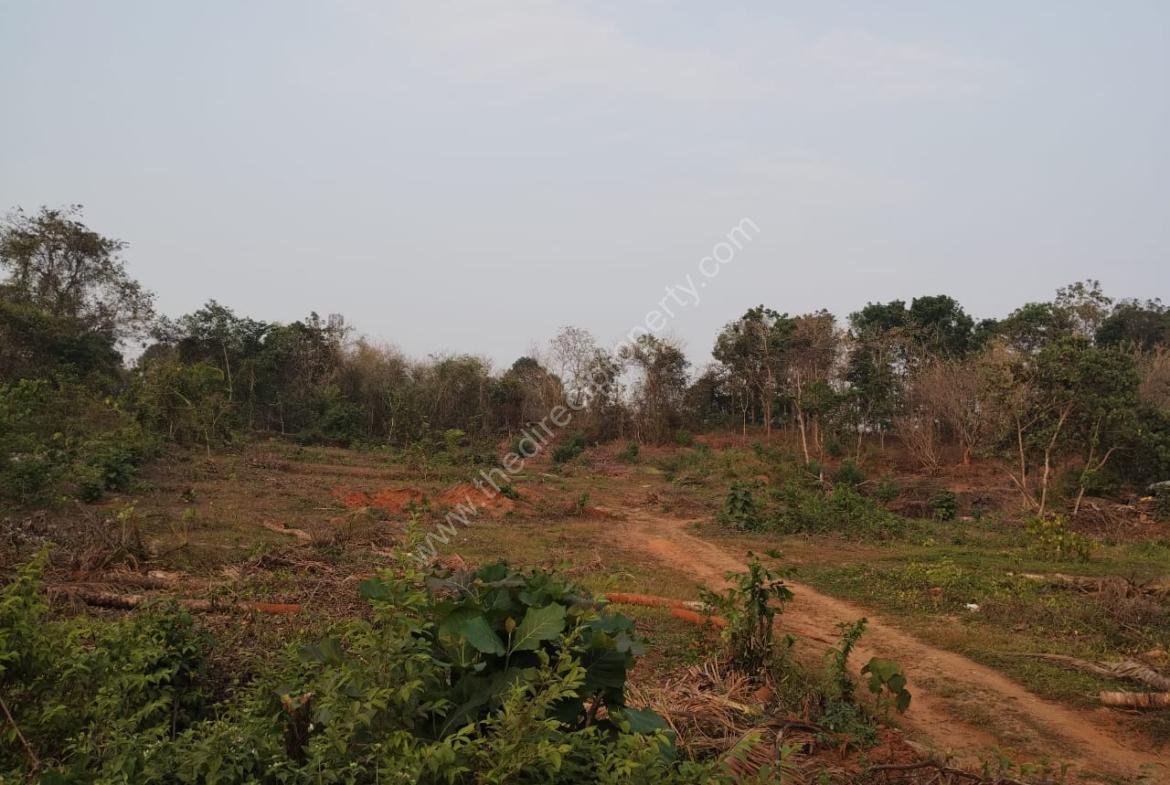 Land On Rent 2 Acre plain land for rent