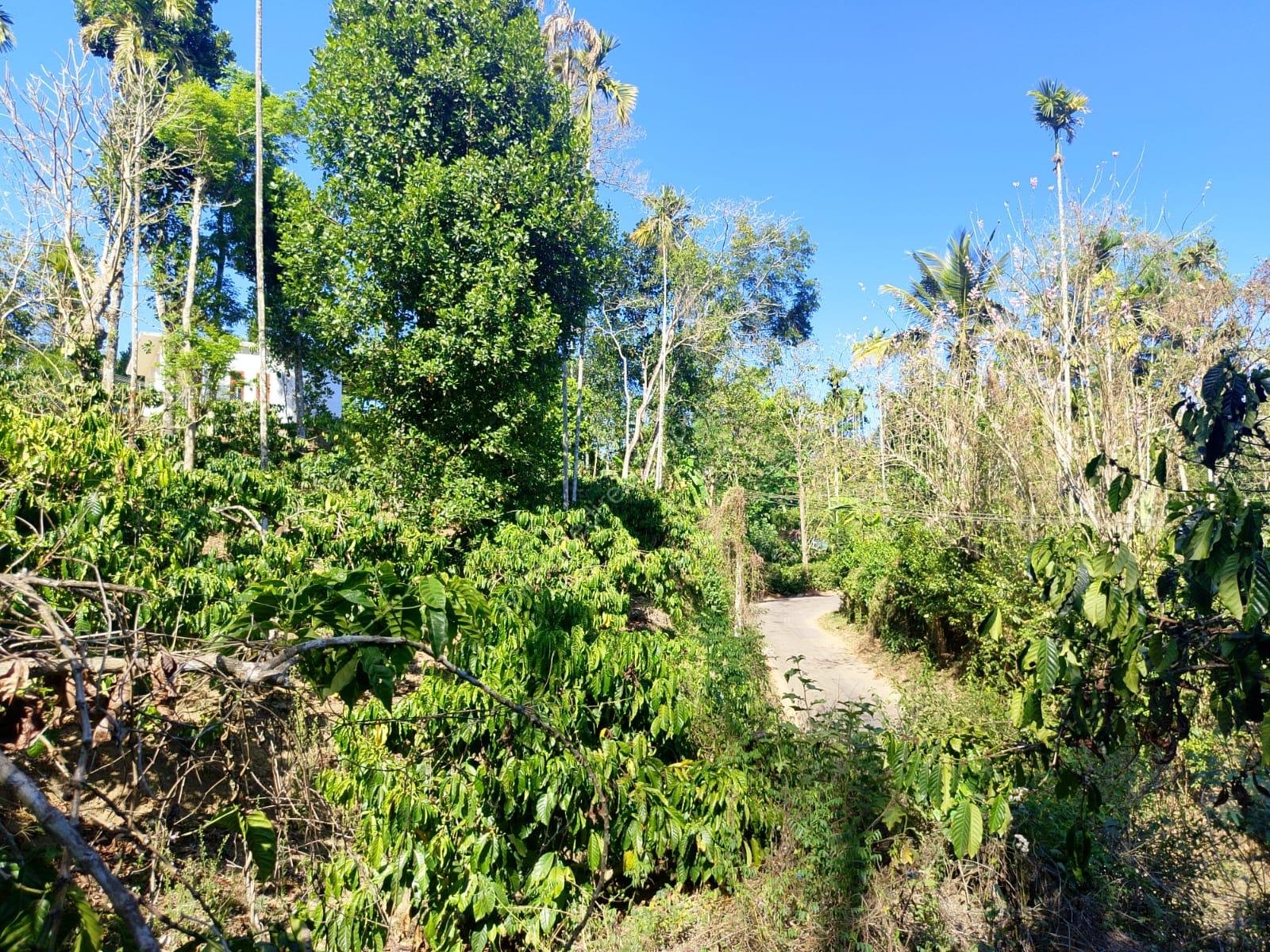 09d935f7-3744-4461-a16b-e78d20d4332e