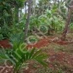 Land for sale at Madapally Vatakara